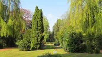 Zentralfriedhof 2 zentralfriedhof-2