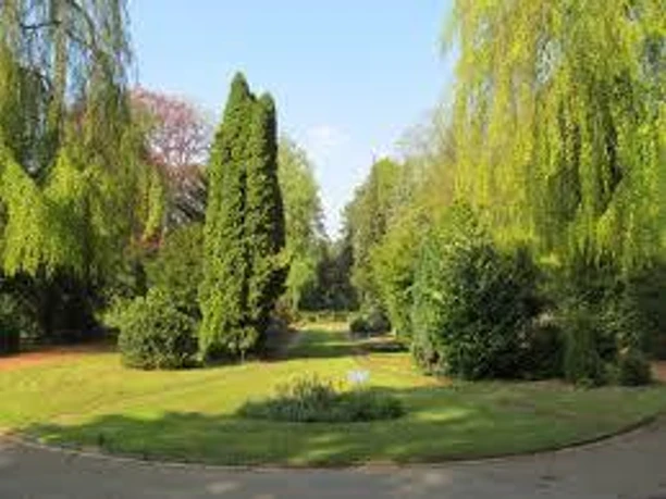 Zentralfriedhof 2 zentralfriedhof-2