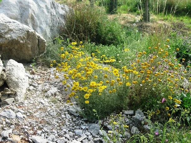 NaturerlebnispfadLiebenburg.JPG