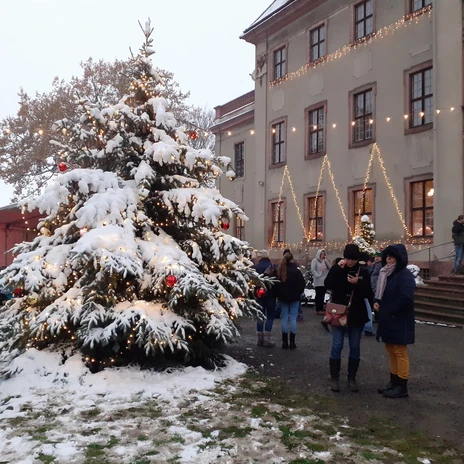 Vánoce na zámku Brandis se zasněženým vánočním stromem