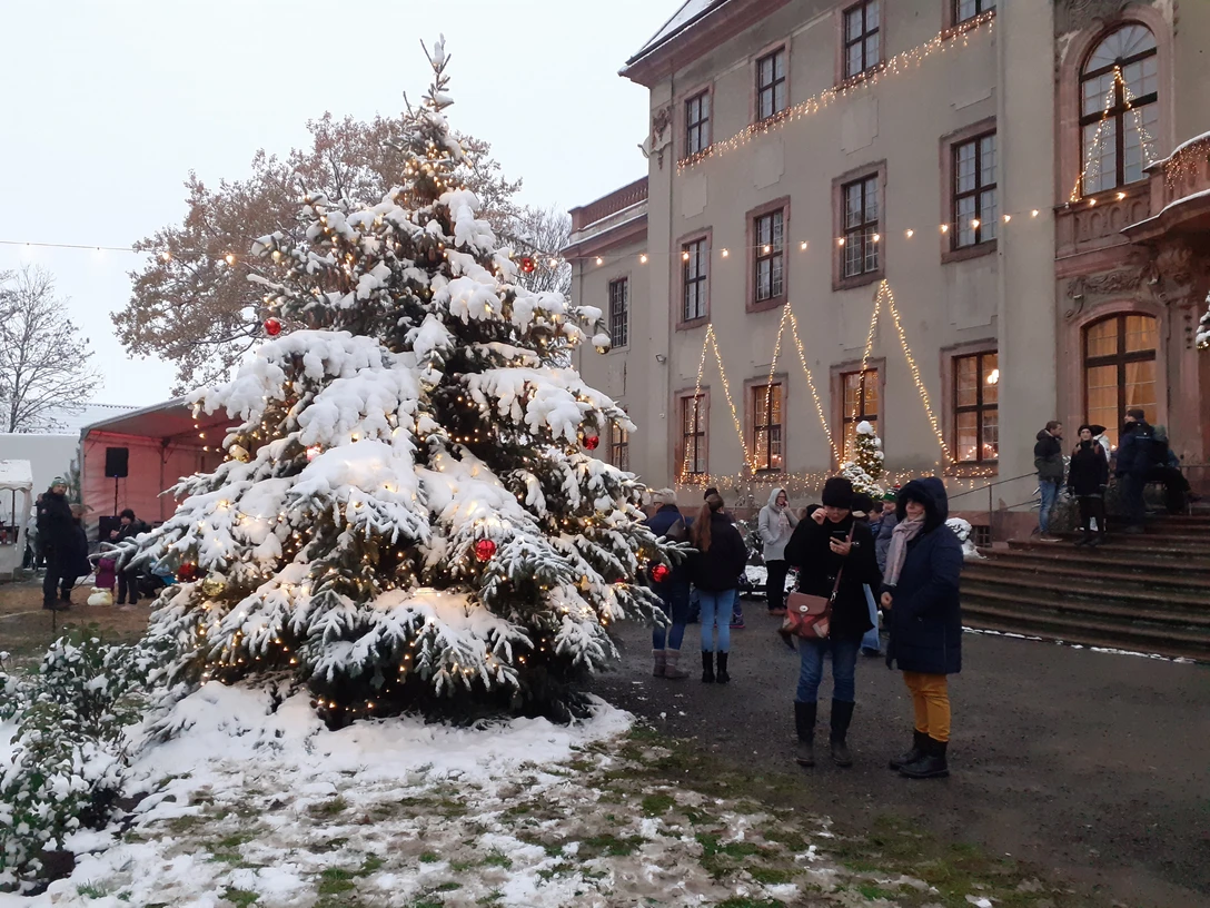 Schlossweihnacht Brandis Schlossweihnacht Brandis mit Schneebedeckten Tannenbaum