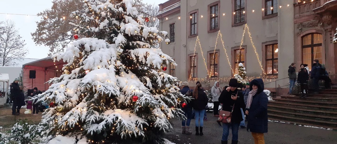 Schlossweihnacht Brandis Schlossweihnacht Brandis mit Schneebedeckten Tannenbaum