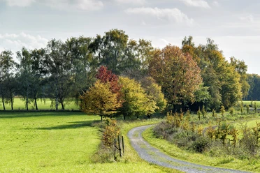 Weg im Mülheimer Auberg Weg im Mülheimer Auberg