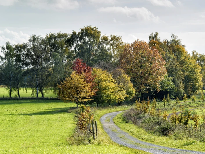 Weg im Mülheimer Auberg Weg im Mülheimer Auberg