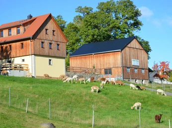 Ferienhaus und Scheune