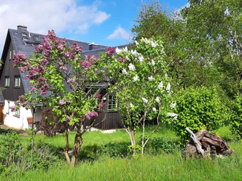 Zweiter Frühling in den Bergen