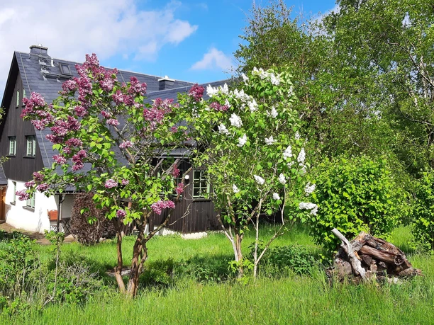 Zweiter Frühling in den Bergen
