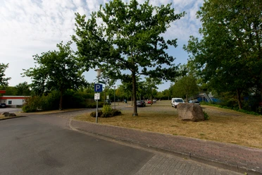 P1.jpg