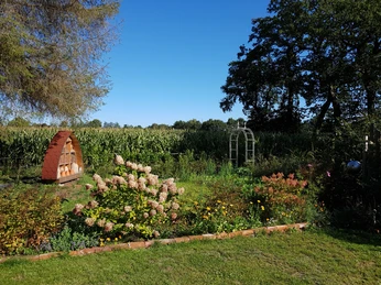20190922_111514.jpg Das Bild zeigt einen blühenden Garten mit verschiedenen Blumenarten, eingerahmt von Bäumen und einem Maisfeld.