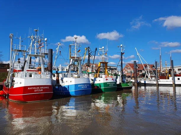 Bunte Kutterflotte in Ditzum Bunte Kutterflotte in Ditzum