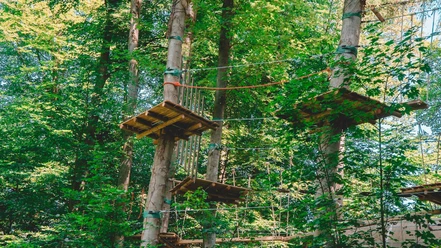 Kletterwald Bad Iburg