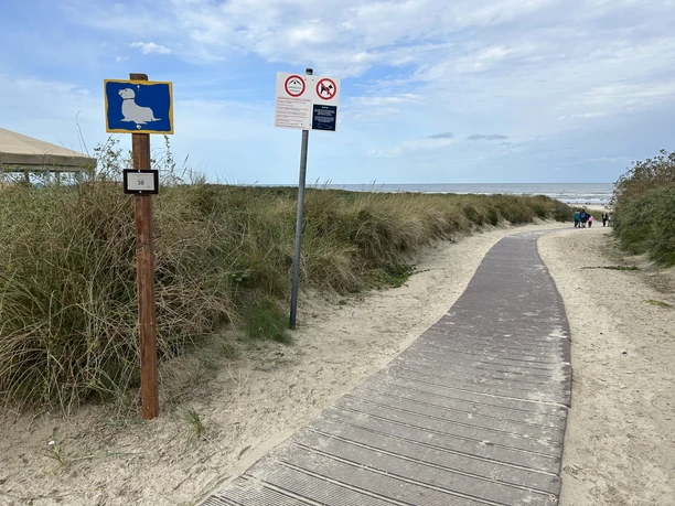 Strandabgang auf Juist - TöwerVital / Warmbadstraße.jpeg Strandabgang auf Juist - TöwerVital / Warmbadstraße