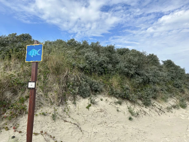 Strandabgang auf Juist - Tennisplätze .jpeg Strandabgang auf Juist - Tennisplätze
