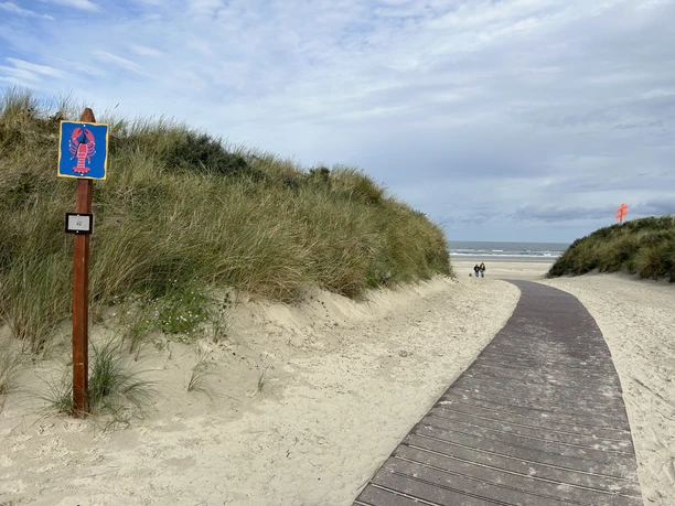 Strandabgang auf Juist - Karl-Wagner-Straße Hundestrand Ost.jpeg Strandabgang auf Juist - Karl-Wagner-Straße Hundestrand Ost