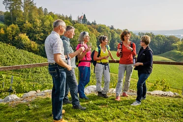 Gruppe bei einer Weindegustation bei Weinbau Kaiserspan