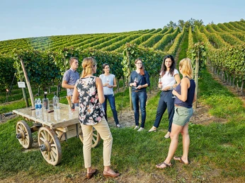 Gruppe bei Weindegustation auf dem Weingut Klosterhof
