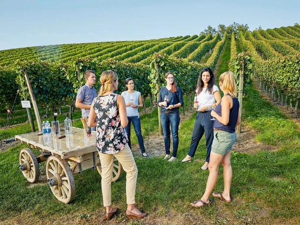 Gruppe bei Weindegustation auf dem Weingut Klosterhof