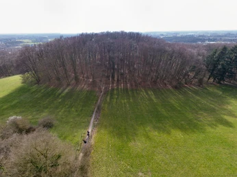 Leberbluemchen 3 © Markus Stein Werther.jpg Ein dichter Laubwald auf einem Hügel in einer ländlichen Gegend, umgeben von weitläufigen Feldern.