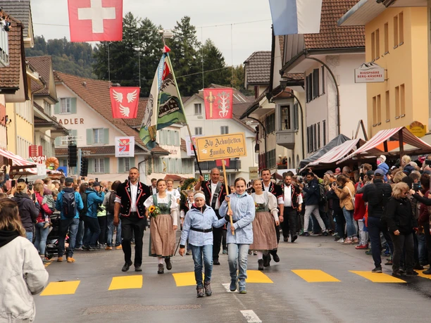 Entlebucher Alpabfahrt