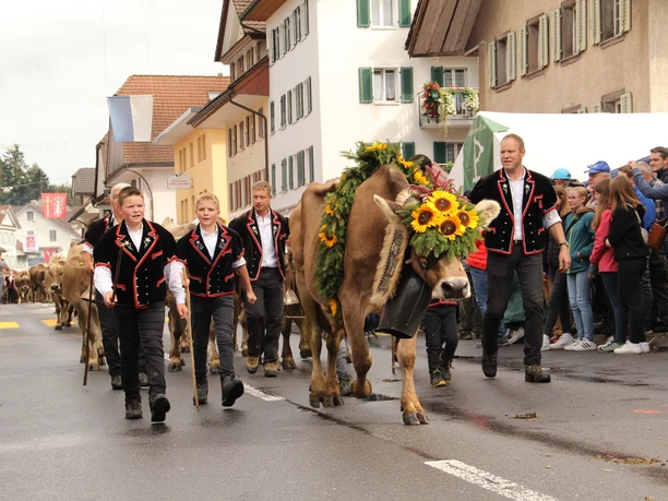 Entlebucher Alpabfahrt