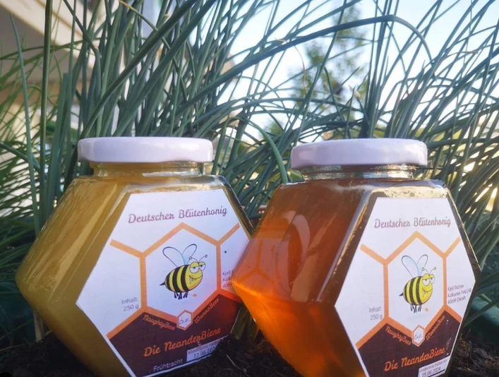 Honig - Die NeanderBiene Zwei Gläser mit deutschem Blütenhonig von der Marke "Die NeanderBiene" vor Gräsern platziert.