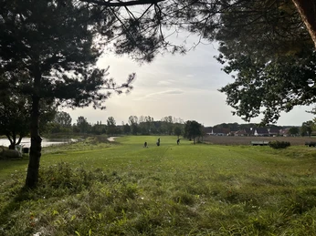 Grüner Golfplatz am Steinhuder Meer, umgeben von Bäumen und ruhiger Natur mit Blick auf Häuser.Green golf course on the Steinhuder Meer, surrounded by trees and peaceful nature with a view of houses.Grøn golfbane ved Steinhuder Meer, omgivet af træer og fredelig natur med udsigt til huse.Groene golfbaan aan het Steinhuder Meer, omgeven door bomen en rustige natuur met uitzicht op huizen.