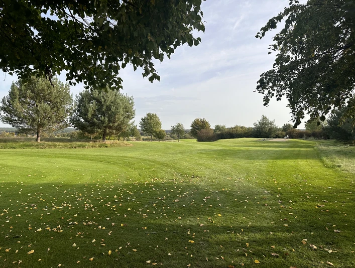 Golf Park Steinhuder Meer Grüner Golfplatz mit Baumgruppen im Hintergrund und verstreuten gelben Blättern auf saftigem Rasen.Green golf course with groups of trees in the background and scattered yellow leaves on lush grass.Grøn golfbane med grupper af træer i baggrunden og spredte gule blade på frodigt græs.Groene golfbaan met boomgroepen op de achtergrond en verspreide gele bladeren op weelderig gras.