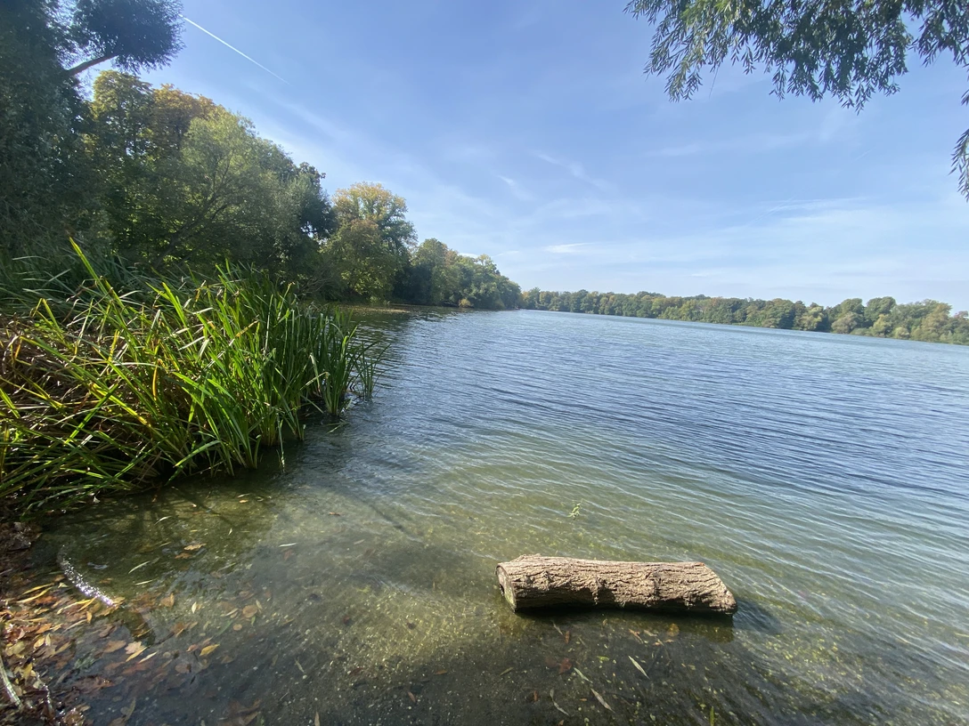 Leipziger Auensee - Familienurlaub in Leipzig Der Leipziger Auensee umgeben von Wiesen und Wald inmitten des Stadtteils Wahren.