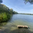 Leipziger Auensee - Familienurlaub in Leipzig Der Leipziger Auensee umgeben von Wiesen und Wald inmitten des Stadtteils Wahren.
