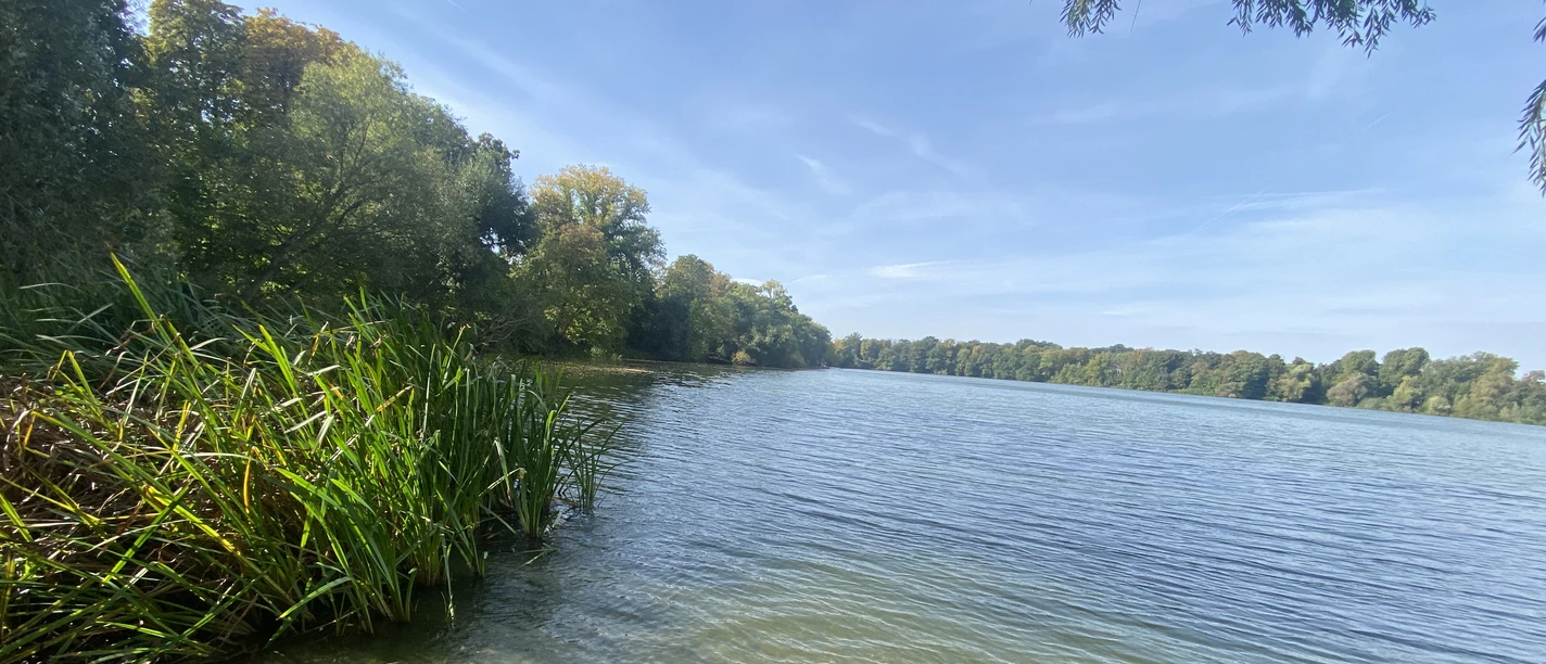 Lipskie jezioro Auensee otoczone jest łąkami i lasami w centrum dzielnicy Wahren.