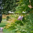 Skulptur Damparken