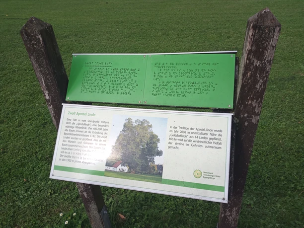 Infotafel vor der Apostellinde