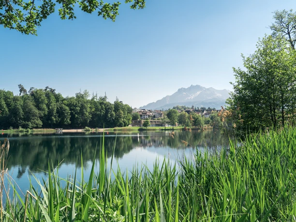 Rotsee Rotsee mit Pilatus im Hintergrund