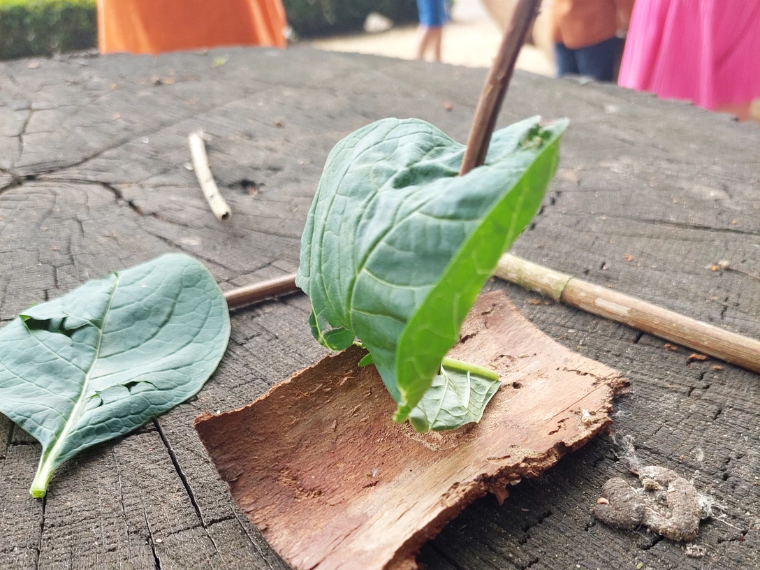 Dümmer-Museum Boot aus Naturmaterialien.jpg