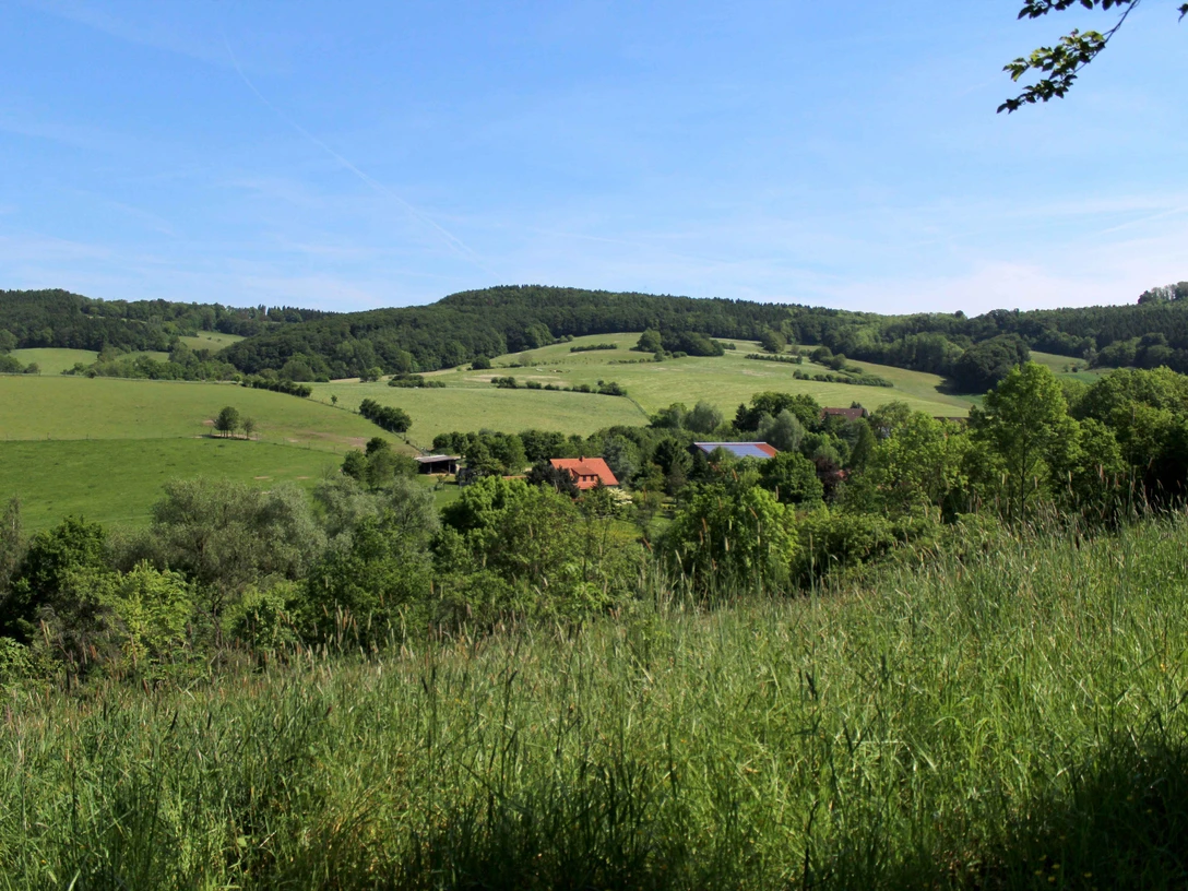 Unterwegs bei Schwelentrup CC BY-SA - LTM.jpg