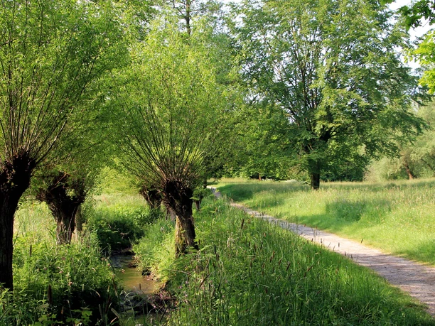 Pottkuhle 3 CC BY-SA - LTM.jpg