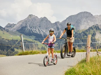 Whizzing down into the valley from Rossweid Von der Rossweid ins Tal sausenWhizzing down into the valley from RossweidDescendre à toute allure dans la vallée depuis Rossweid