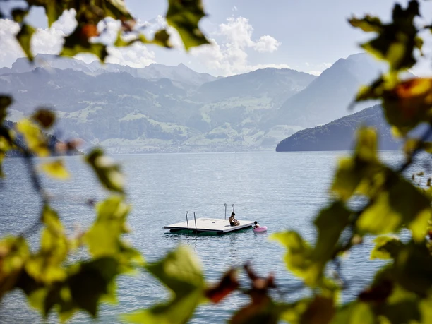 Brougierpark Badeplatz Blick aufs Floss beim Brougierpark