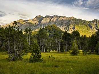 Tell Pass Sörenberg Sommer.jpg