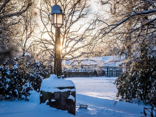 Bad Driburg - Winter im Graeflichen Park_bad-driburger-touristik-gmbh Sonnenuntergang im Winter mit Schnee Gräflicher Park Bad Driburg.