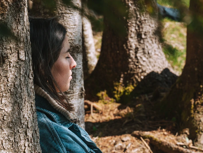 Mountain forest bathing in the Hilfernthal