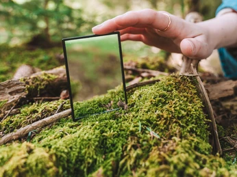 Mountain forest bathing