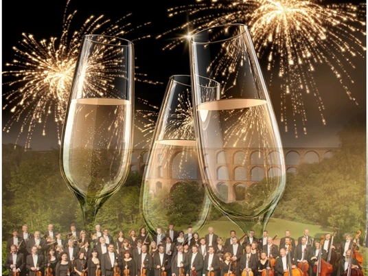 Neujahrskonzert alllgemein.jpg