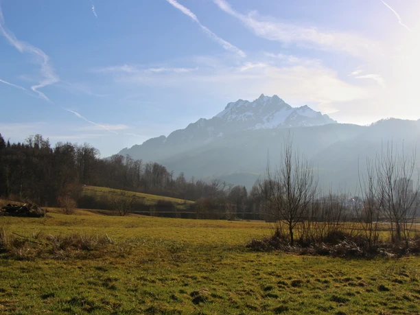Aire de loisirs naturelle Allmend