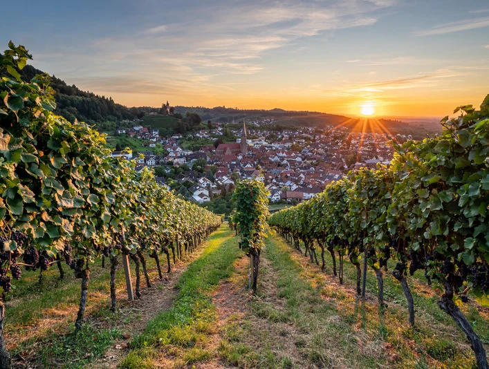 Blick auf Kappelrodeck