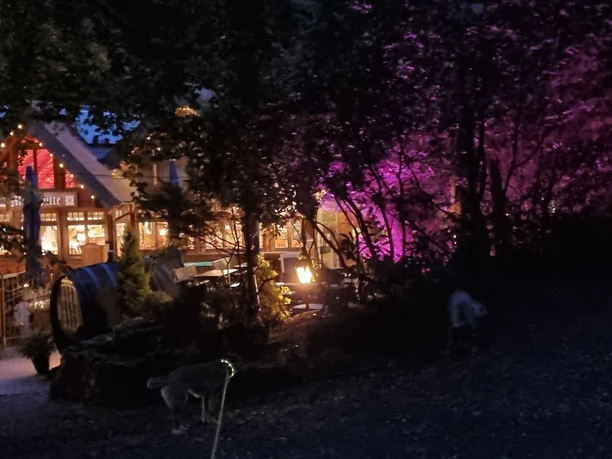 Mooshütte im Deister