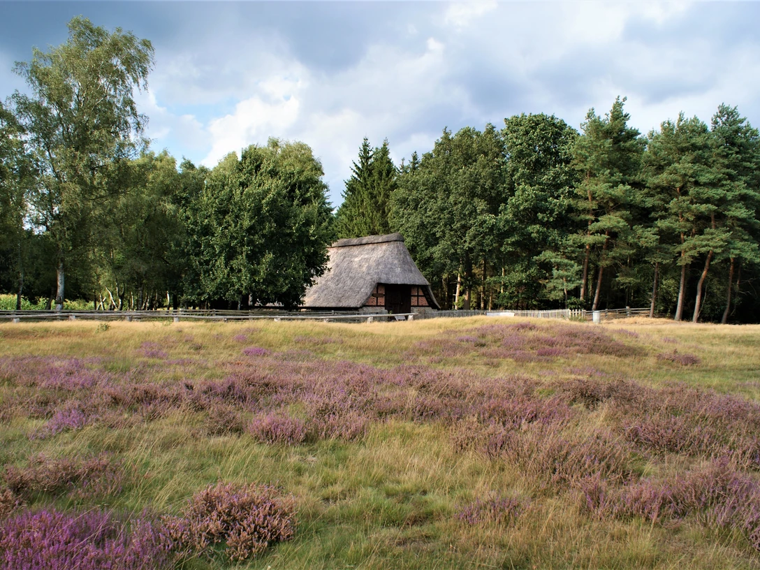 Pestruper Gräberfeld