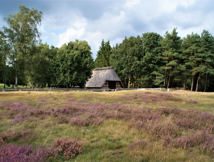 Pestruper Gräberfeld