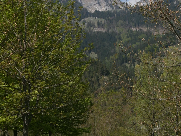 Wendelstein von Bayrischzell