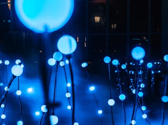 Lilu Lichtfestival Luzern Lichtinstallation «Aqua Olimpia» "Aqua Olimpia" light installationInstallation lumineuse "Aqua Olimpia"